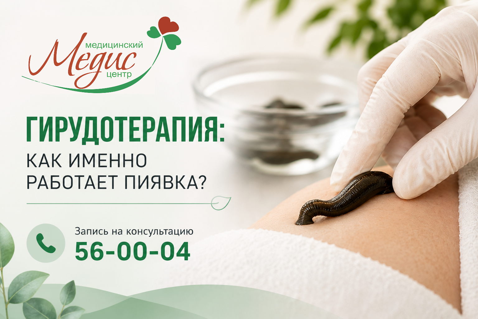 Гирудотерапия: как работают медицинские пиявки и в каких случаях их применяют
